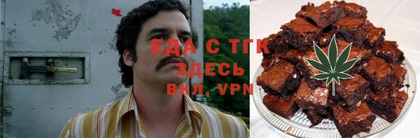 индика Алзамай