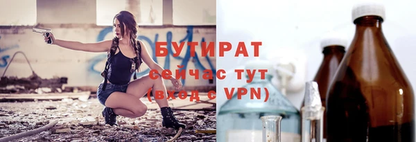 индика Алзамай