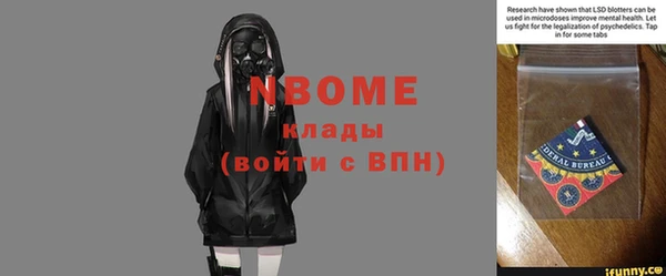 дурь Алексин